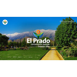 Vendo Sepultura De 4 Capacidades Parque El Prado