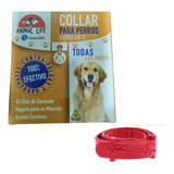 Collar Anti Pulgas Repelente Garrapatas Perro - Animal Life