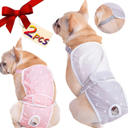Pañales De Perro Hembra Lavables Y Reutilizables Para Perros | MercadoLibre