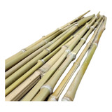 100 Varas De Bambú Tutores Cultivo Jardineria / 110 Cm Largo