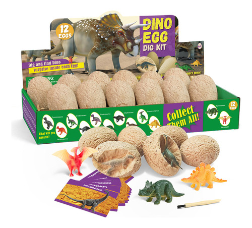 Juguetes Modelo De Huevos De Dinosaurio Para 12 Niños Con Fo