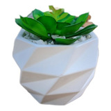 Vaso Poligonal 3d Em Cerâmica Branca Para Plantas Suculentas