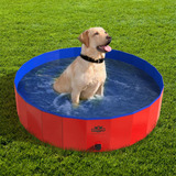 Piscina Portátil Para Perros Grande Plegable Y De Plástico R