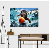 Cuadro Canvas Perro Bajo El Agua Dog Pileta Pet Shop Vete