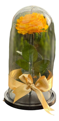  Rosa Preservada Regalo Cúpula Vidrio Color Amarilla