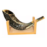 Shofar Chifre De Carneiro De Tocar  - De Israel 40-44 Cm