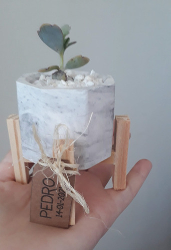 Mini Macetas Nórdicas Con Plantita Suculenta Souvenirs X 35