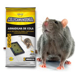 Armadilha Adesiva Camundongo Aranha Insetos Colly - 20 Pares