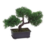 Árbol De Bonsai De Cedro Japonés Artificial, 9 Pulgadas De A