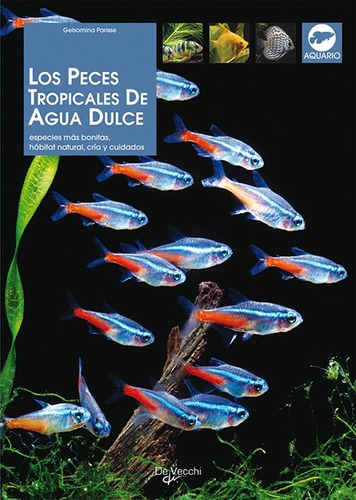 Los Peces Tropicales De Agua Dulce - Gelsomina Parisse