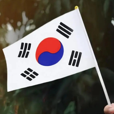 Banderitas Coranas Fiestas,10 Pzas, Corea Del Sur Krhandflag Krhandflag