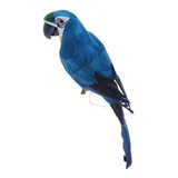 2x Parrot Macaw Cerca Jardín Cerca Taburete Y Cerca Balcón