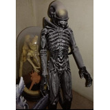 Alien Warrior. 30 Cms. Kenner Hasbro. Pintado. 