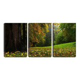 Quadro Canvas 45x96 Folhas Secas No Gramado