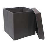 Cubo Plegable Con Tapa Gris 40x40x40 Cm C01