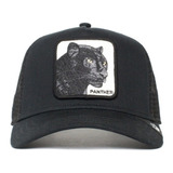 Gorra Animales Goorin Bros Panther Negra