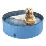 Piscina  Pet 30x1,20m - Cores  Sortidas - Seu Dog Vai Adorar