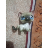 Littlest Pet Shop Gatito Con Detalle En La Oreja