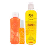  Renechardon Kit Aclarador Shampoo Y Loción Rocío De Oro