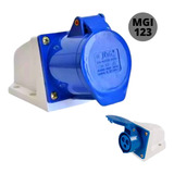 Tomada Industrial De Parede 2p+t Azul 220vca 32a Jng