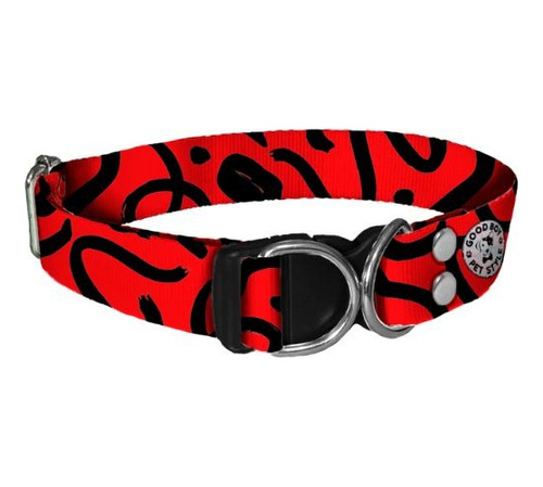 Collar Personalizable Perro Gato  - Xs 21 A 27 Cm