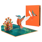 Tarjeta Pop-up De Colibrí, Tarjeta De Felicitación 3d...