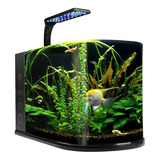 Kit Acuario Nano Bullet 12 Lt Vidrio Curvo, Luz Led, Filtro Multi-etapas Con Material Filtrante Y Bomba De Agua. 