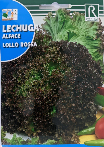 Semilla Lechuga Morada (lollo Rossa) 6 Grs