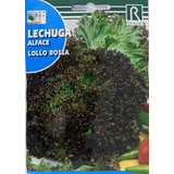 Semilla Lechuga Morada (lollo Rossa) 6 Grs