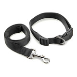 Collar Y Correa Para Perros Ligera Y Resistente 120 Cm Color Negro