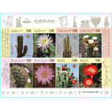 Flora - Suculentas - Cactus - Argentina 2023 - Hojita Mint