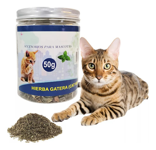 Catnip Hierba Gatera Gatos Juguetes Catnip Hierba Gato 50gr Color Verde Oscuro