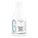 Salerm Shampoo Control Grasa 300ml Hair Lab