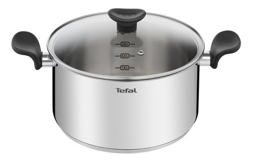 Olla Tefal Profunda De 24 Cm Primary Antiadherente Color Plateado