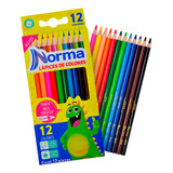 12 Lápices De Colores Intenso Profesional Norma