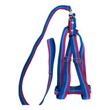 Conjunto Correa Pretal Regulable Grand 55-89cm Perro Mascota