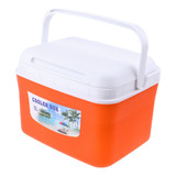 Caja Del Refrigerador Para Llevar Naranja 5l