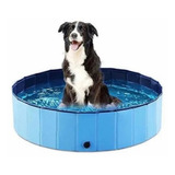 Piscina Plegable Para Mascota Perros Grande