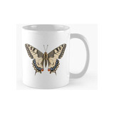 Taza Mariposa De Cola De Golondrina De Color Realista, Pájar