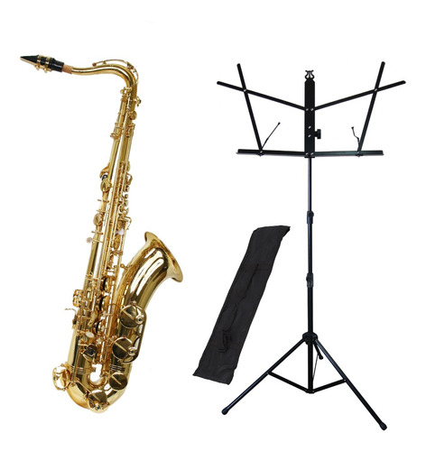Kit Saxofone Tenor Ts-200 Laqueado + Estante De Partitura S1