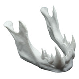 Soporte Para Celular, Mandibula De Dragón Figura 3d