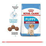 A Todo Chile Despacho - Royal Canin Medium Puppy 2,5kg