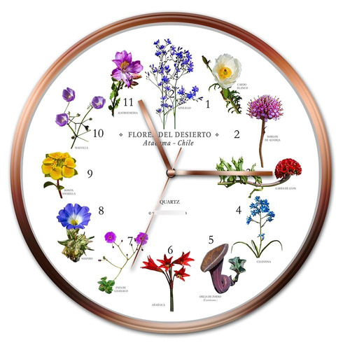 Reloj Pared Flores Desierto Atacama