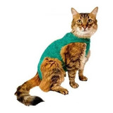 Roupa Pós Cirurgica Com Zíper Para Gatos Tamanho 1.