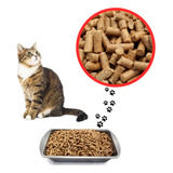 Arena Para Gato Pellet De Madera 10kg Bioinvert