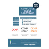 Curso De Redes Ccna Y Ccnp, Solo Pagos A Msi