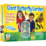 Conjunto De Mariposa Gigante De Saber Del Insecto: Hábitat D
