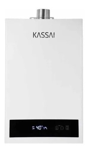 Calentador Instantáneo Kassai Exterior Gas Lp 12 Litros P/m