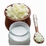 Kefir De Leite Com Manual De Instrução