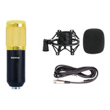 Microfono Condenser Bm800 Estudio Karaoke Youtubers Promo